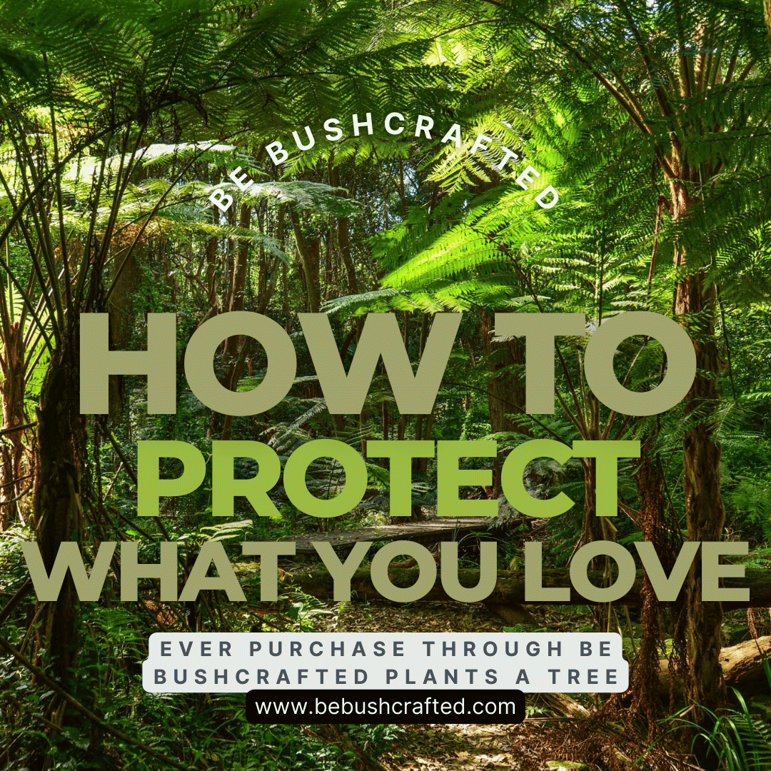 Why Fast Fashion is Failing the Planet—and How to Make a Real Difference