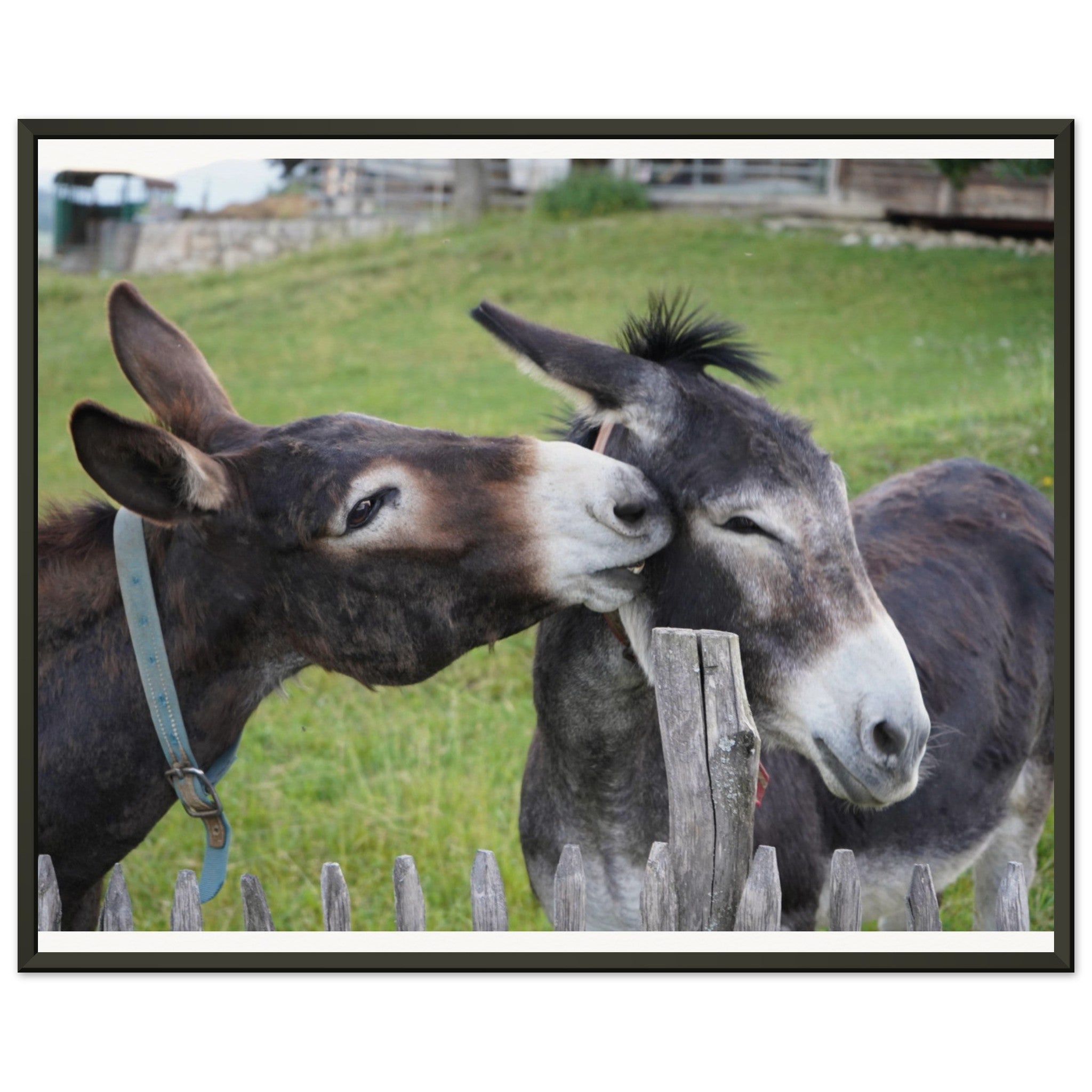 01f6c051-e132-4d7a-8d19-3d2179392147