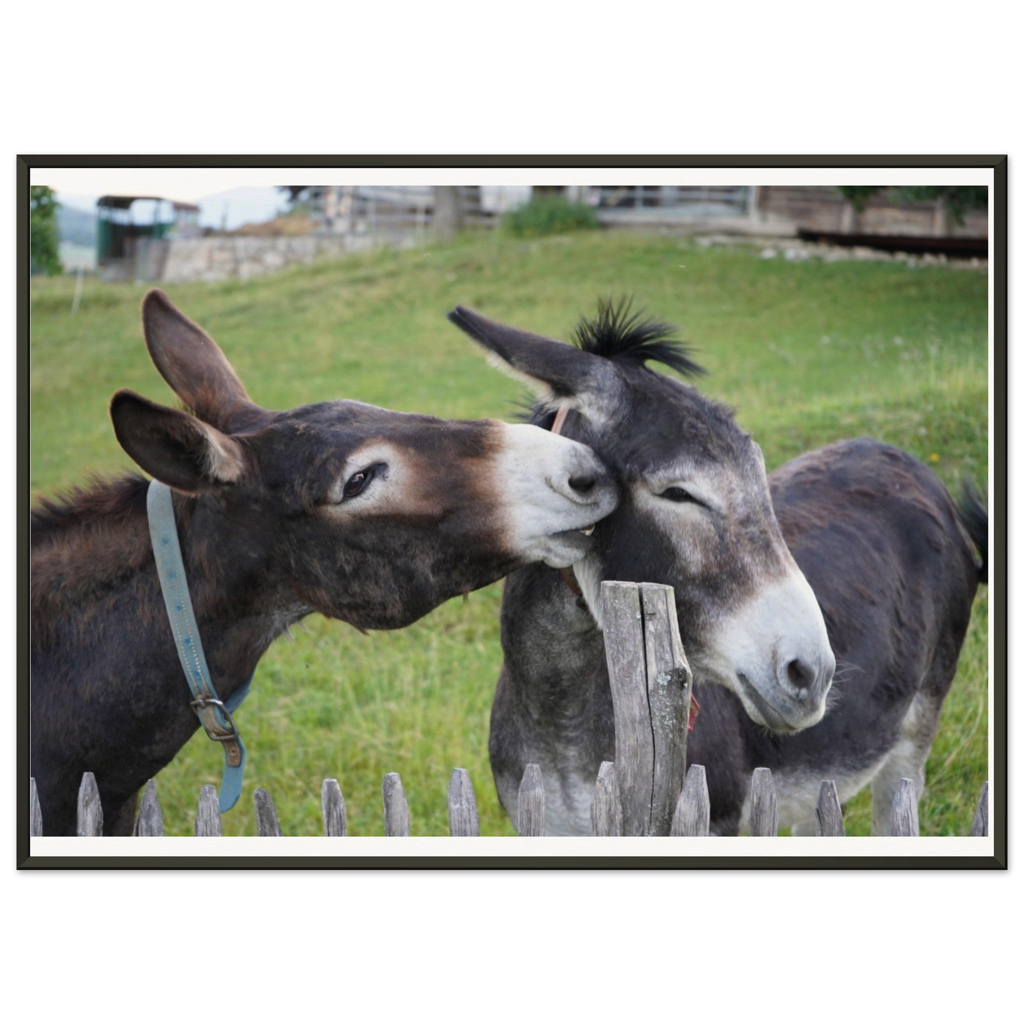 046b3b1a-3e0d-417c-b9fd-a2c36dbf52ff