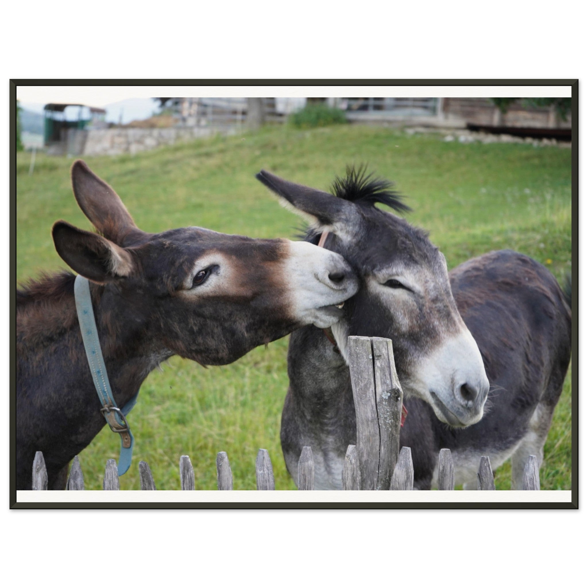 6d7bc439-8363-47ff-ade4-2687100cad71